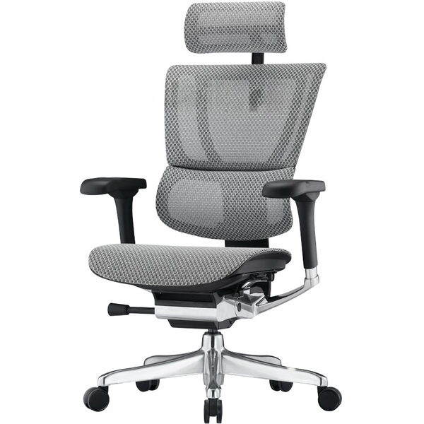 Ергономічне крісло MIRUS-IOO 2 (IOOE2-AB-HAM-5D-L, СІТКА T-168-B2 NATURAL) 01958 фото