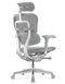 Ергономічне крісло ERGOHUMAN ELITE 2 (EHE2-AG-HAM-5D-L, сітка T-168-B2 Natural) 113898 фото 2