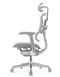 Ергономічне крісло ERGOHUMAN ELITE 2 (EHE2-AG-HAM-5D-L, сітка T-168-B2 Natural) 113898 фото 4
