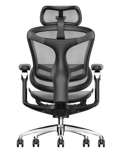 Купити Ергономічне крісло SIHOO DORO-C300 PRO BLACK 03146 в