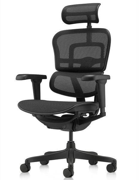 Ергономічне крісло ERGOHUMAN ULTRA ALL BLACK (EHU-BB-HAM-4D, сітка T-168-B1 BLACK) 03220 фото