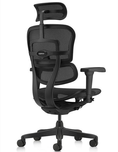 Ергономічне крісло ERGOHUMAN ULTRA ALL BLACK (EHU-BB-HAM-4D, сітка T-168-B1 BLACK) 03220 фото