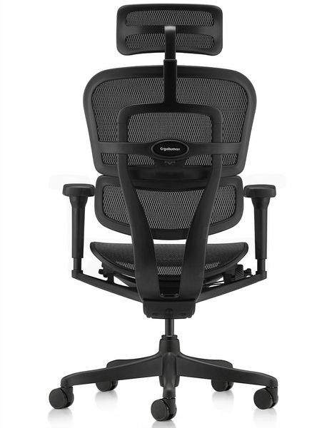Ергономічне крісло ERGOHUMAN ULTRA ALL BLACK (EHU-BB-HAM-4D, сітка T-168-B1 BLACK) 03220 фото