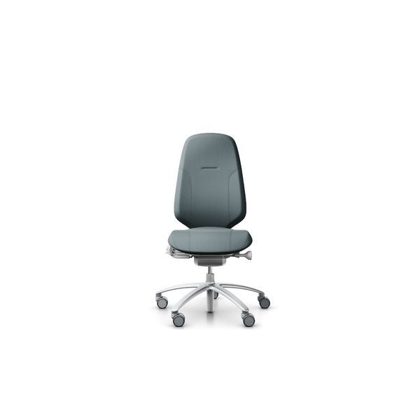 Ергономічне крісло RH MEREO 300 SILVER GREY 113523 фото