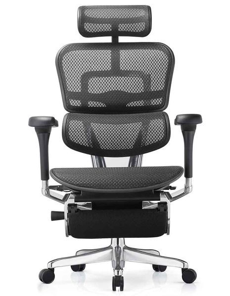 Крісло ERGOHUMAN ELITE 2 (EHE2-AB-HAM-5D-L-LMT, сітка T-168-B1 BLACK), ергономічне, з підставкою для ніг 02023 фото