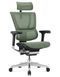Ергономічне крісло MIRUS-IOO 2 (IOOE2-AB-HAM-5D-L, сітка Т-168-B6 GREEN) 113960 фото 1