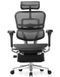 Крісло ERGOHUMAN ELITE 2 (EHE2-AB-HAM-5D-L-LMT, сітка T-168-B1 BLACK), ергономічне, з підставкою для ніг 02023 фото 2