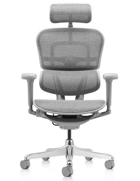 Ергономічне крісло ERGOHUMAN ULTRA (EHU-AG-HAM-4D, сітка T-168-B2 NATURAL) 116983 фото