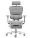 Крісло ERGOHUMAN ELITE 2 (EHE2-AG-HAM-5D-L-LMT, сітка T-168-B2 Natural) з підставкою для ніг 2454561 фото 2