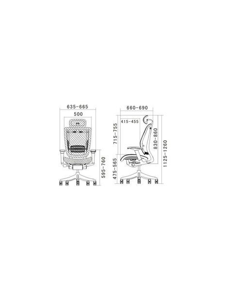 Ергономічне крісло EXPERT SPRING (HSPM-01) чорний 113690 фото