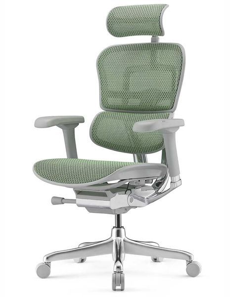 Ергономічне крісло ERGOHUMAN LUXURY 2 (EHL2-AB-HAM-5D-E-L, сітка Т-168-B6 Green) 113909-2 фото