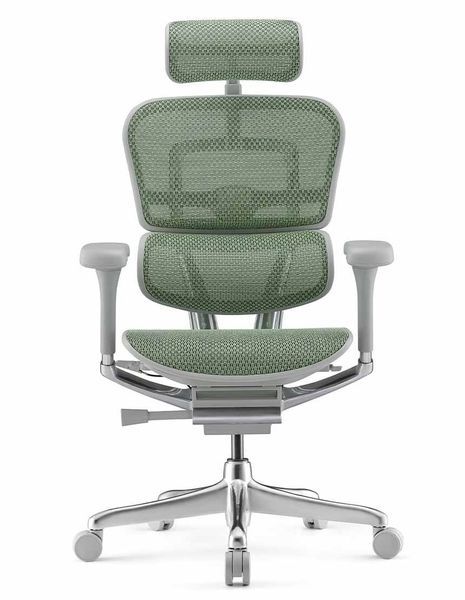 Ергономічне крісло ERGOHUMAN LUXURY 2 (EHL2-AB-HAM-5D-E-L, сітка Т-168-B6 Green) 113909-2 фото