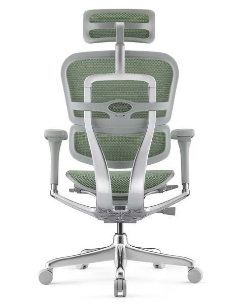 Ергономічне крісло ERGOHUMAN LUXURY 2 (EHL2-AB-HAM-5D-E-L, сітка Т-168-B6 Green) 113909-2 фото