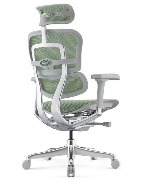 Ергономічне крісло ERGOHUMAN LUXURY 2 (EHL2-AB-HAM-5D-E-L, сітка Т-168-B6 Green) 113909-2 фото