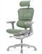 Ергономічне крісло ERGOHUMAN LUXURY 2 (EHL2-AB-HAM-5D-E-L, сітка Т-168-B6 Green) 113909-2 фото 3