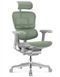 Ергономічне крісло ERGOHUMAN LUXURY 2 (EHL2-AB-HAM-5D-E-L, сітка Т-168-B6 Green) 113909-2 фото 1