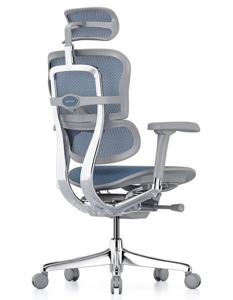 Ергономічне крісло ERGOHUMAN LUXURY 2 (EHE2-AG-HAM-5D-L, сітка T-168-B4 Cobalt) 113900-2 фото