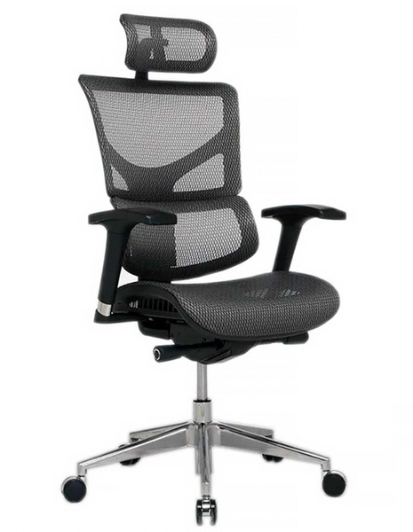 Ергономічне крісло EXPERT SAIL ART (SASM01) 113877 фото