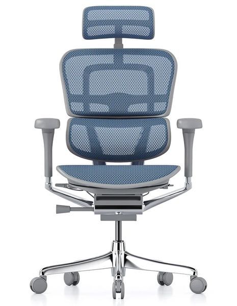 Ергономічне крісло ERGOHUMAN LUXURY 2 (EHE2-AG-HAM-5D-L, сітка T-168-B4 Cobalt) 113900-2 фото
