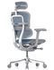 Ергономічне крісло ERGOHUMAN LUXURY 2 (EHE2-AG-HAM-5D-L, сітка T-168-B4 Cobalt) 113900-2 фото 2