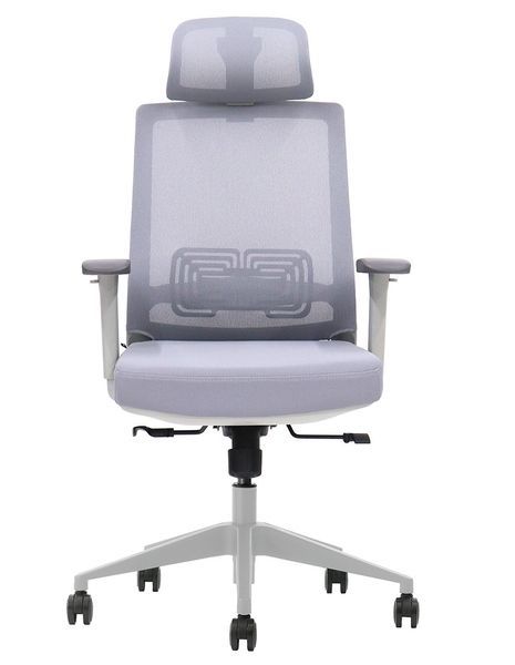 Ергономічне крісло KRESLALUX HOLDER GREY D-S1-GH1-03 03262 фото