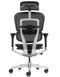 Ергономічне крісло ERGOHUMAN ELITE 2 (EHE2-AB-HAM-5D-L, сітка T-168-B1 Black) 02736 фото 5