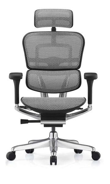 Ергономічне крісло ERGOHUMAN ELITE 2 (EHE2-AB-HAM-5D-L, сітка T-168-B2 Natural) 02737 фото