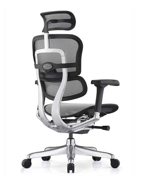 Ергономічне крісло ERGOHUMAN ELITE 2 (EHE2-AB-HAM-5D-L, сітка T-168-B2 Natural) 02737 фото