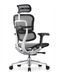 Ергономічне крісло ERGOHUMAN ELITE 2 (EHE2-AB-HAM-5D-L, сітка T-168-B2 Natural) 02737 фото 4