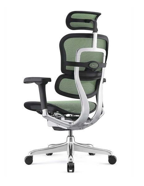 Ергономічне крісло ERGOHUMAN ELITE 2 (EHE2-AB-HAM-5D-L, сітка T-168-B6 Green) 02738 фото