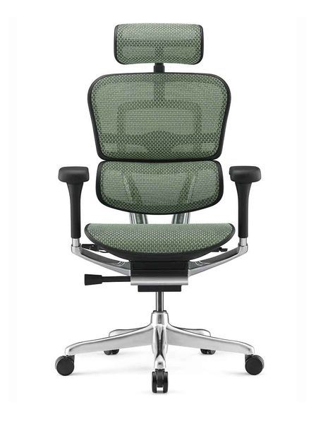 Ергономічне крісло ERGOHUMAN ELITE 2 (EHE2-AB-HAM-5D-L, сітка T-168-B6 Green) 02738 фото