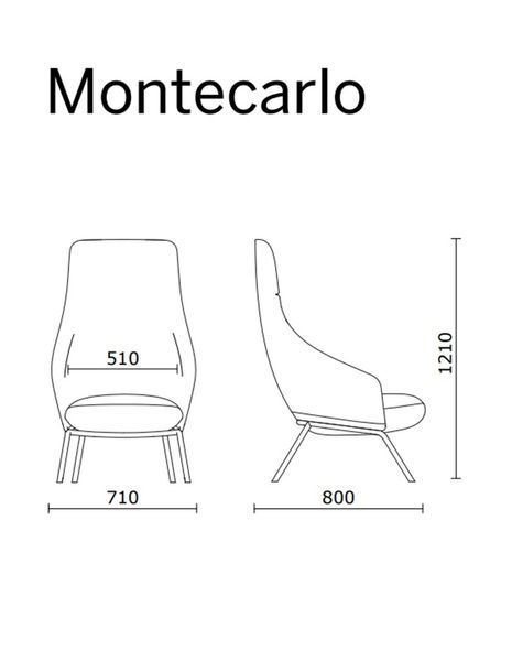 Крісло SITLAND MONTECARLO, лаундж, шкіра преміум клас 123795 фото