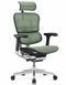 Ергономічне крісло ERGOHUMAN ELITE 2 (EHE2-AB-HAM-5D-L, сітка T-168-B6 Green) 02738 фото 1