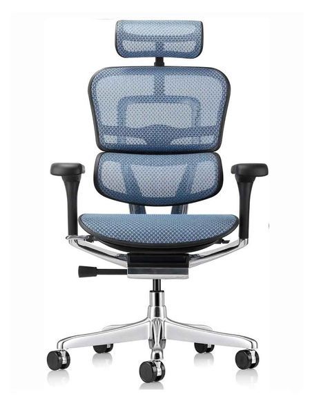 Ергономічне крісло ERGOHUMAN ELITE 2 (EHE2-AB-HAM-5D-L, сітка T-168-B6 Cobalt) 02739 фото