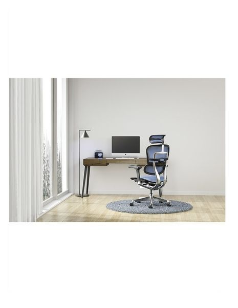 Ергономічне крісло ERGOHUMAN ELITE 2 (EHE2-AB-HAM-5D-L, сітка T-168-B6 Cobalt) 02739 фото