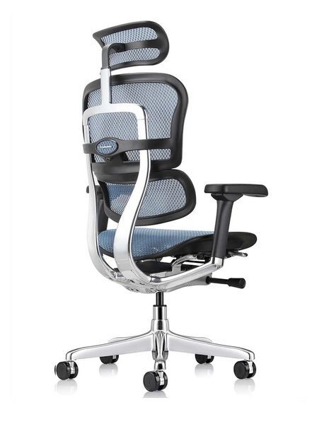 Ергономічне крісло ERGOHUMAN ELITE 2 (EHE2-AB-HAM-5D-L, сітка T-168-B6 Cobalt) 02739 фото