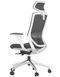 Ергономічне крісло KRESLALUX SWIFT GHW LIGHT GREY ALU, офісне 113838 фото 2