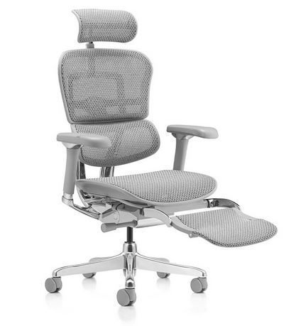 Ергономічне крісло ERGOHUMAN LUXURY 2 (EHL2-AG-HAM-5D-L, сітка Т-168-B2 Natural) з підставкою для ніг 245456-4 фото