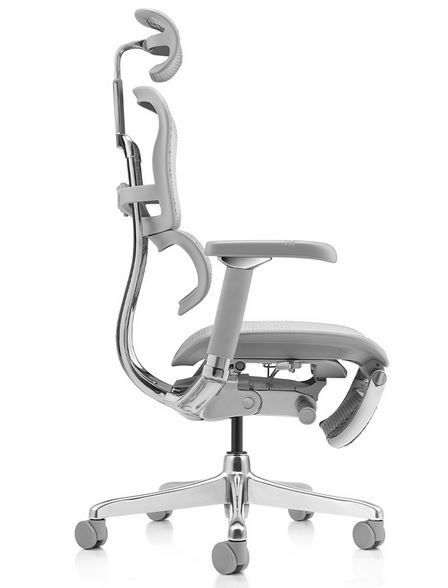 Ергономічне крісло ERGOHUMAN LUXURY 2 (EHL2-AG-HAM-5D-L, сітка Т-168-B2 Natural) з підставкою для ніг 245456-4 фото