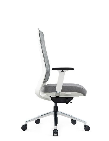 Крісло KRESLALUX FILO-B1 WHITE (Grey + Grey) ергономічне 01651 фото