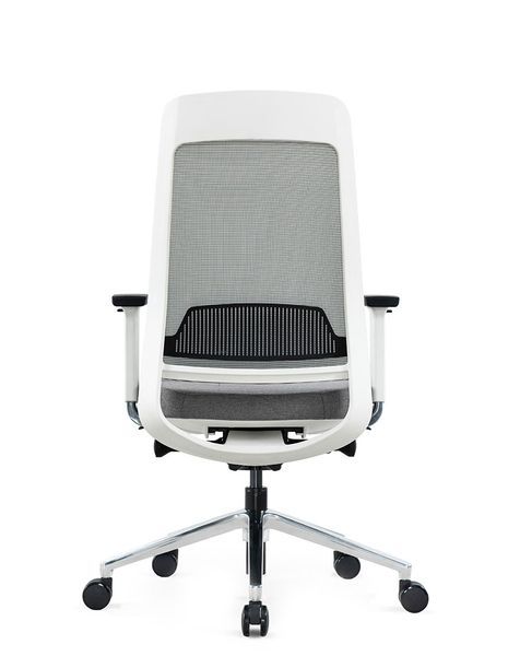 Крісло KRESLALUX FILO-B1 WHITE (Grey + Grey) ергономічне 01651 фото
