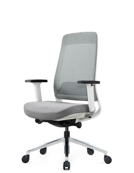 Крісло KRESLALUX FILO-B1 WHITE (Grey + Grey) ергономічне 01651 фото