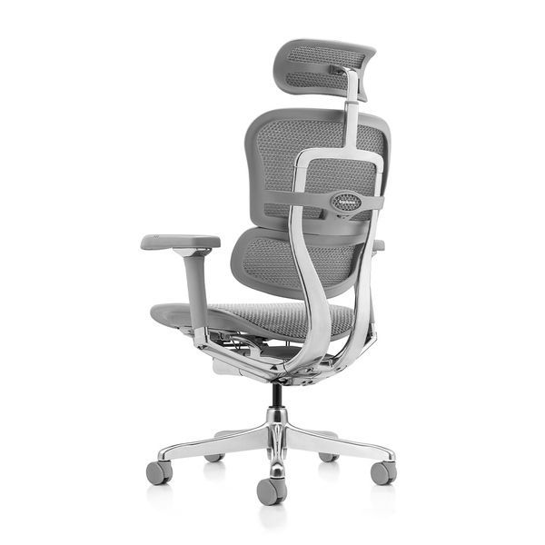Ергономічне крісло ERGOHUMAN LUXURY 2 (EHL2-AG-HAM-5D-L, сітка Т-168-B2 Natural) 113906 фото