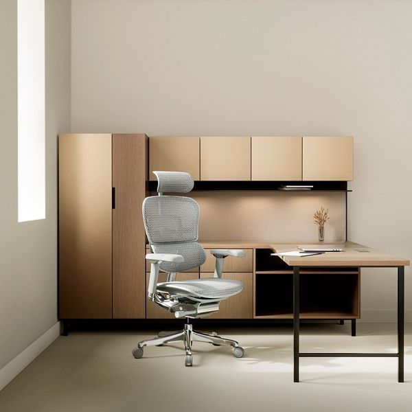 Ергономічне крісло ERGOHUMAN LUXURY 2 (EHL2-AG-HAM-5D-L, сітка Т-168-B2 Natural) 113906 фото