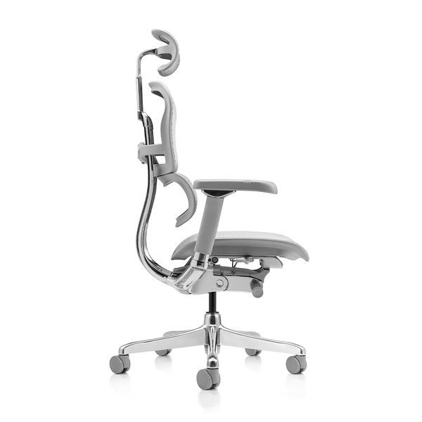 Ергономічне крісло ERGOHUMAN LUXURY 2 (EHL2-AG-HAM-5D-L, сітка Т-168-B2 Natural) 113906 фото
