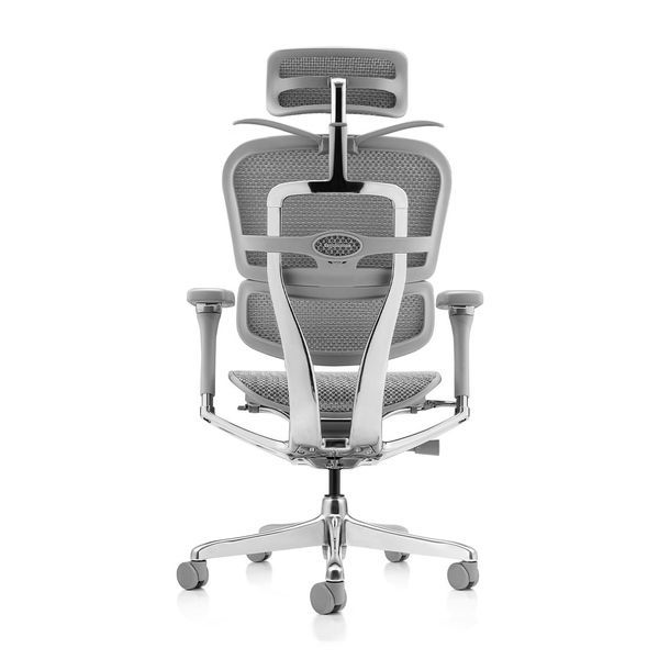 Ергономічне крісло ERGOHUMAN LUXURY 2 (EHL2-AG-HAM-5D-L, сітка Т-168-B2 Natural) 113906 фото