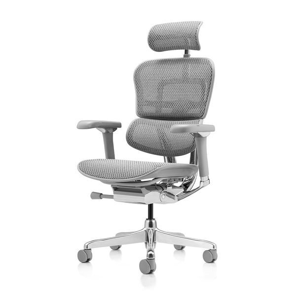 Ергономічне крісло ERGOHUMAN LUXURY 2 (EHL2-AG-HAM-5D-L, сітка Т-168-B2 Natural) 113906 фото