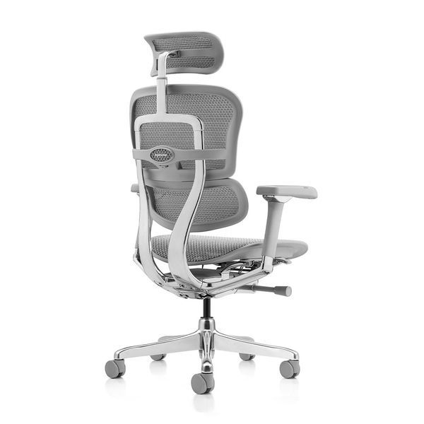 Ергономічне крісло ERGOHUMAN LUXURY 2 (EHL2-AG-HAM-5D-L, сітка Т-168-B2 Natural) 113906 фото