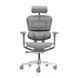 Ергономічне крісло ERGOHUMAN LUXURY 2 (EHL2-AG-HAM-5D-L, сітка Т-168-B2 Natural) 113906 фото 1