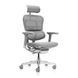 Ергономічне крісло ERGOHUMAN LUXURY 2 (EHL2-AG-HAM-5D-L, сітка Т-168-B2 Natural) 113906 фото 2